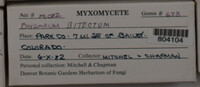 Image Associated With the Occurence
